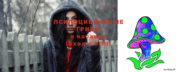 spice Алексеевка
