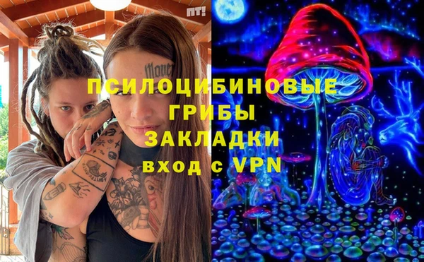 spice Алексеевка