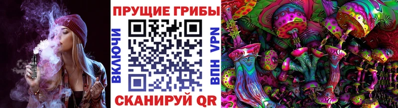 Купить закладки  Великий Новгород  Галлюциногенные грибы ЛСД 
